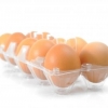 Egg Farmers
