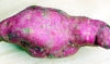Kumala or Kumara farmers 
